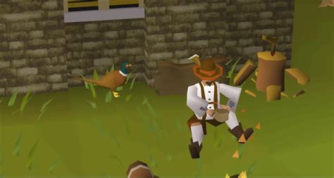 pheasant tail feathers osrs|OSRS Forestry Guide – Everything You Need to Know.